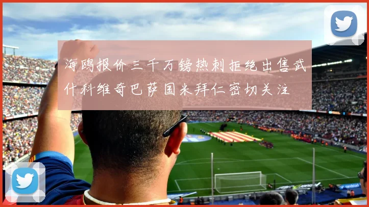 海鸥报价三千万镑热刺拒绝出售武什科维奇巴萨国米拜仁密切关注
