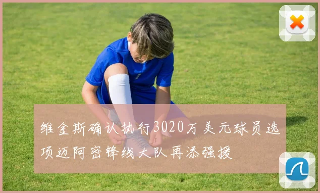 维金斯确认执行3020万美元球员选项迈阿密锋线大队再添强援