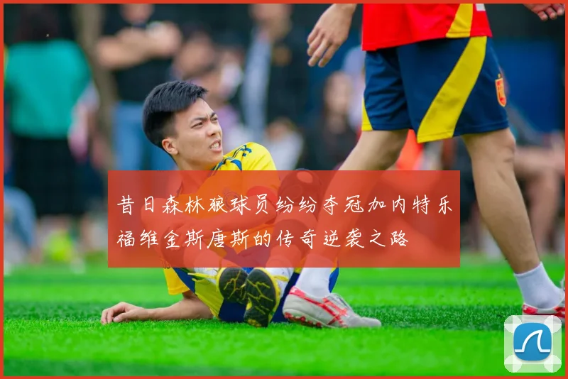 昔日森林狼球员纷纷夺冠加内特乐福维金斯唐斯的传奇逆袭之路
